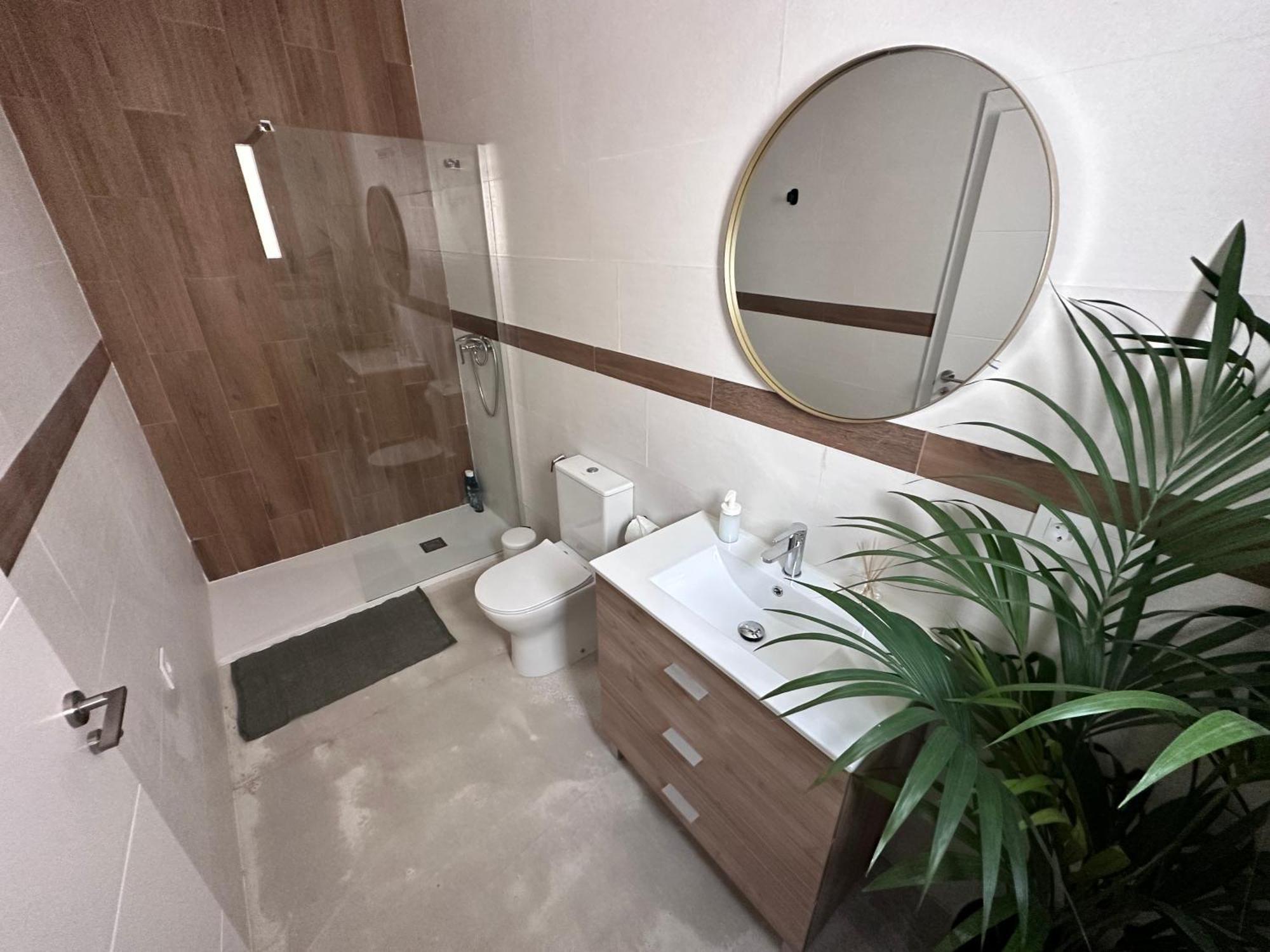 Euphorbia Apartment