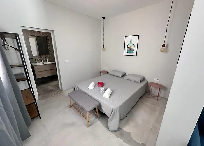 Euphorbia Suites