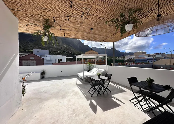 Euphorbia Suites