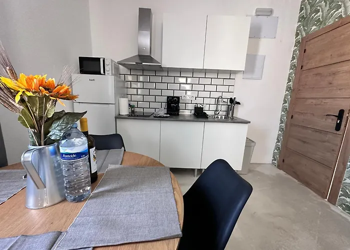 Euphorbia Suites