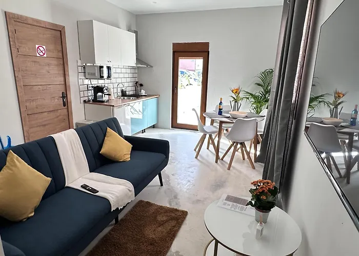 Euphorbia Suites