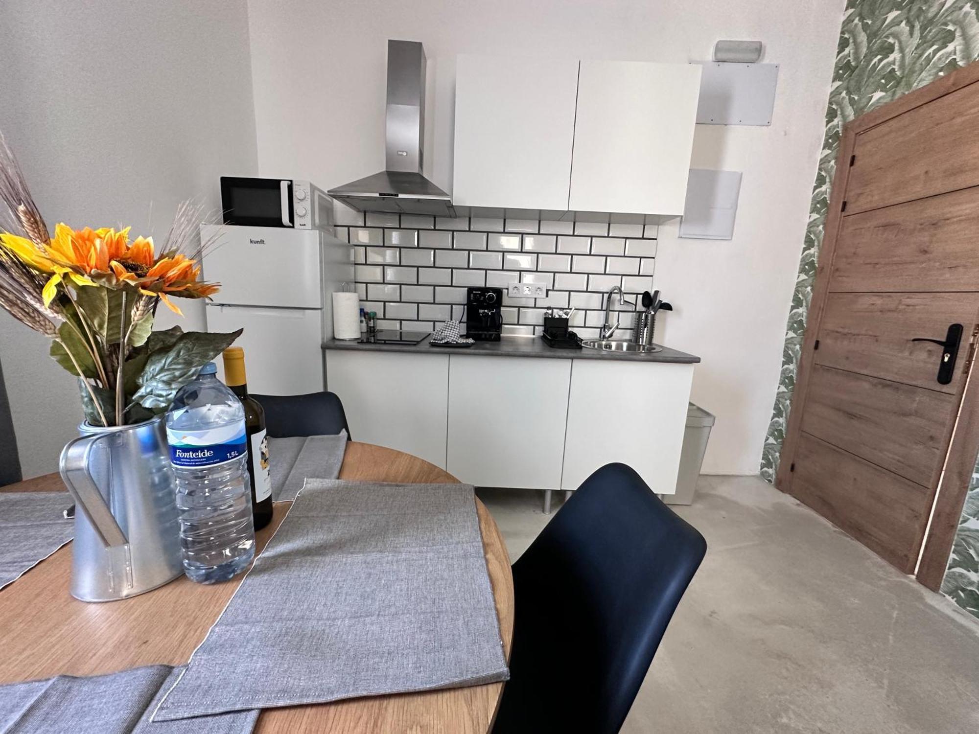 Euphorbia Apartament *