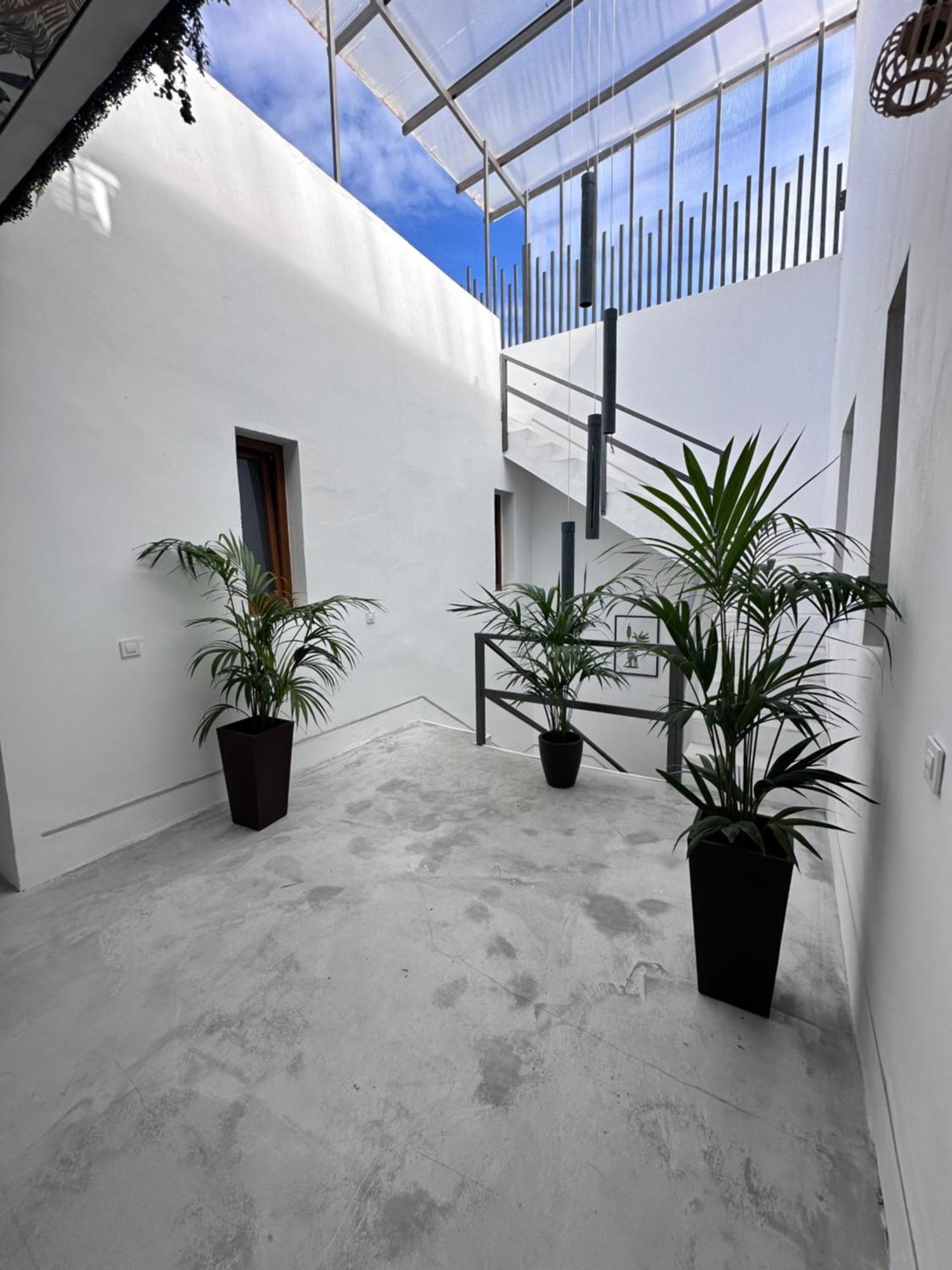 Apartment Euphorbia Los Silos