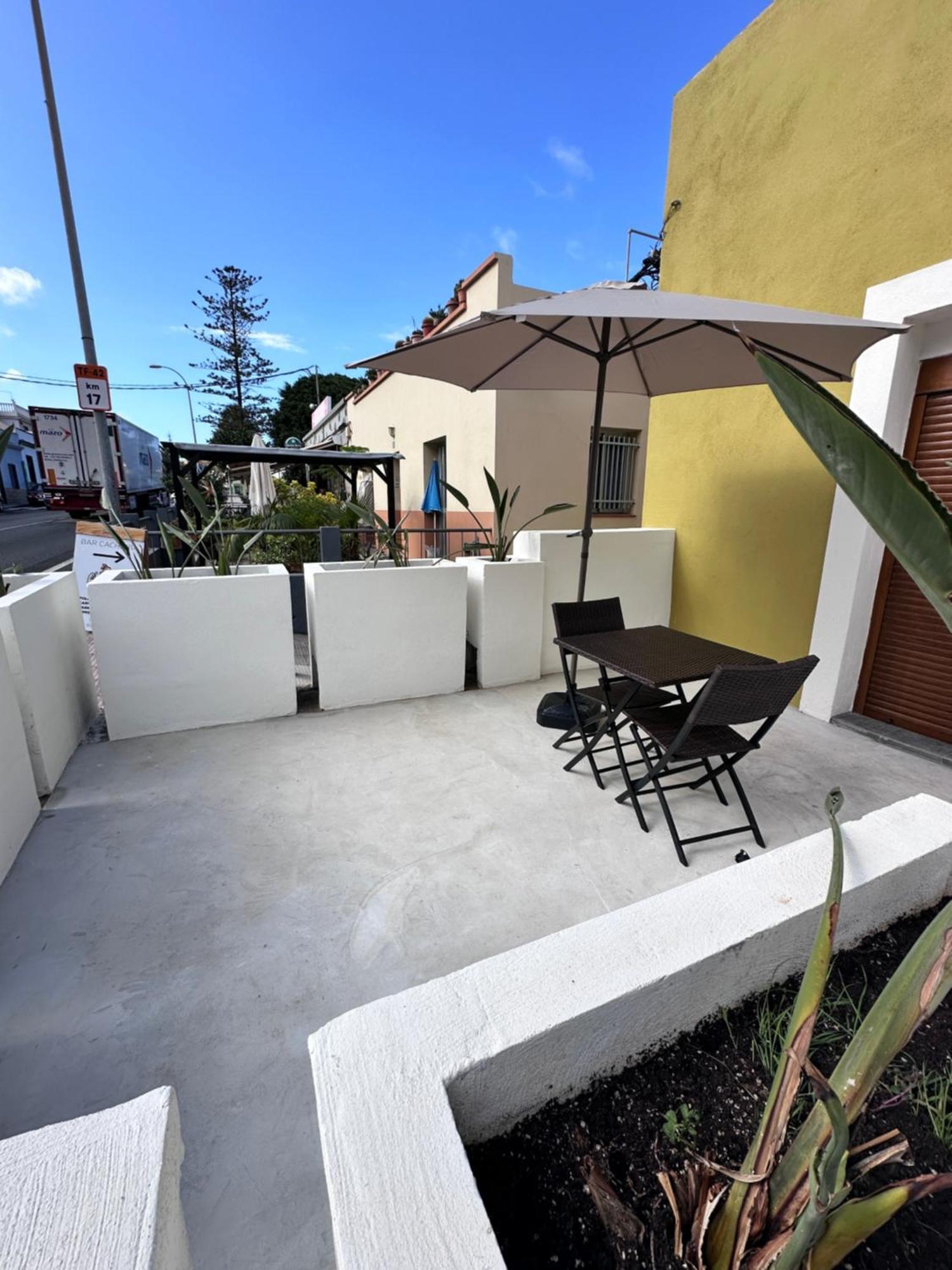Euphorbia Apartament